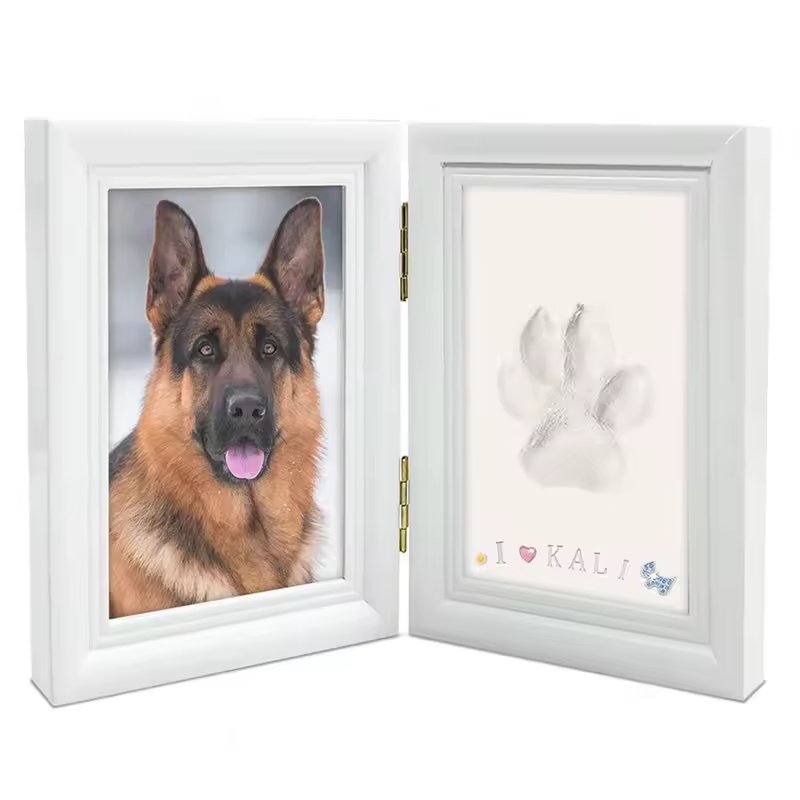 Paw ever Clay Kit