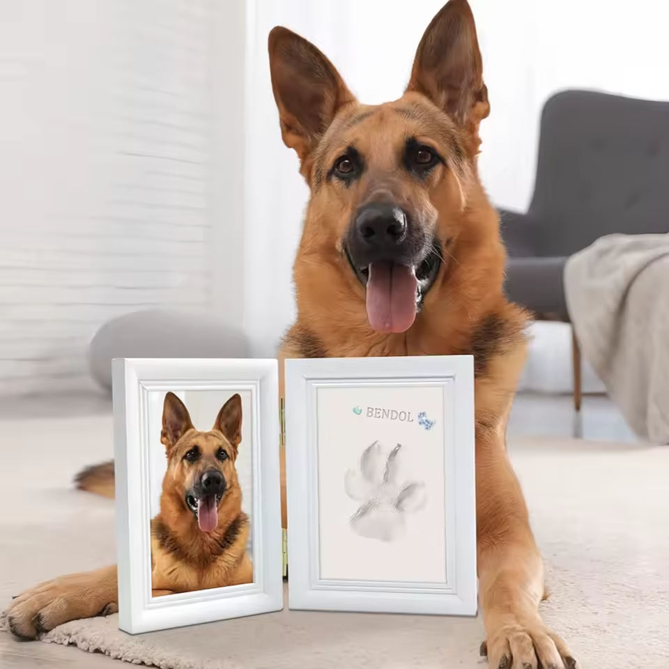 Paw ever Clay Kit