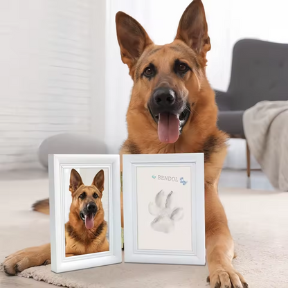 Paw ever Clay Kit